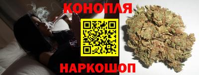 крисы Гусев
