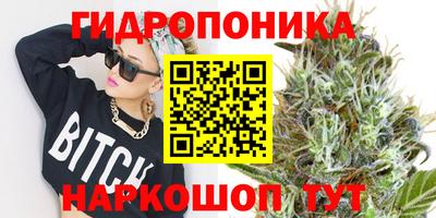 крисы Гусев