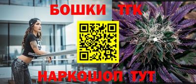 крисы Гусев