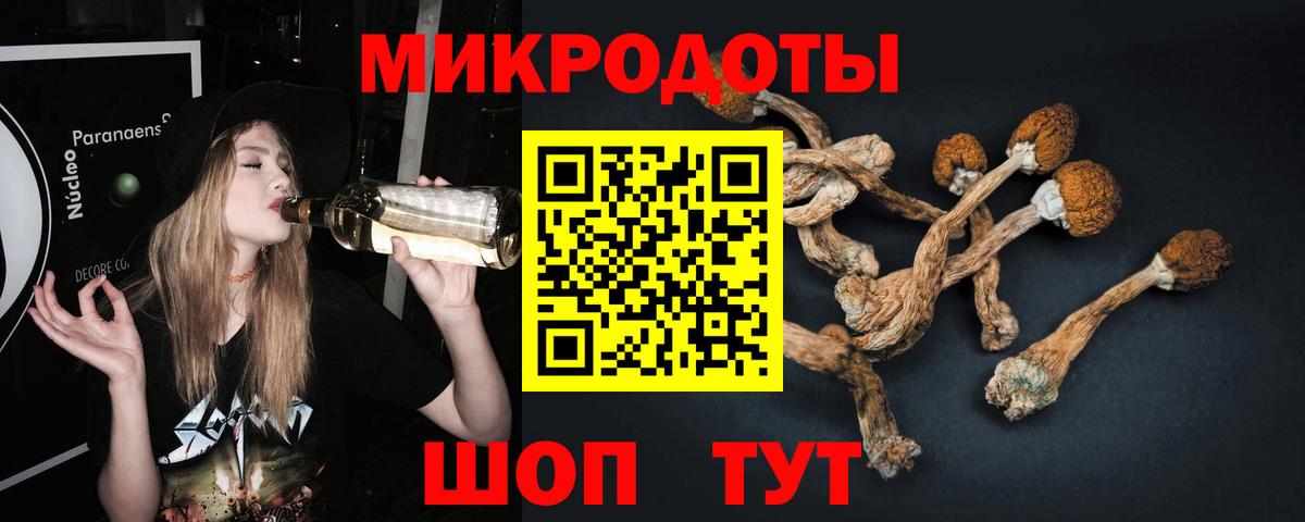 Псилоцибиновые грибы Psilocybine cubensis  Вход с VPN  Королёв  Галлюциногенные грибы Psilocybe 