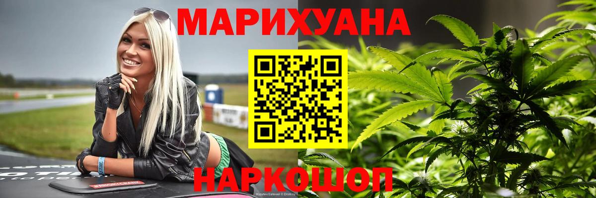Конопля марихуана Королёв